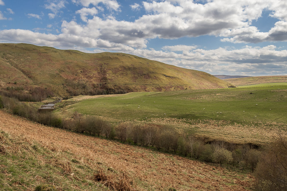 River Coquet River Coquet